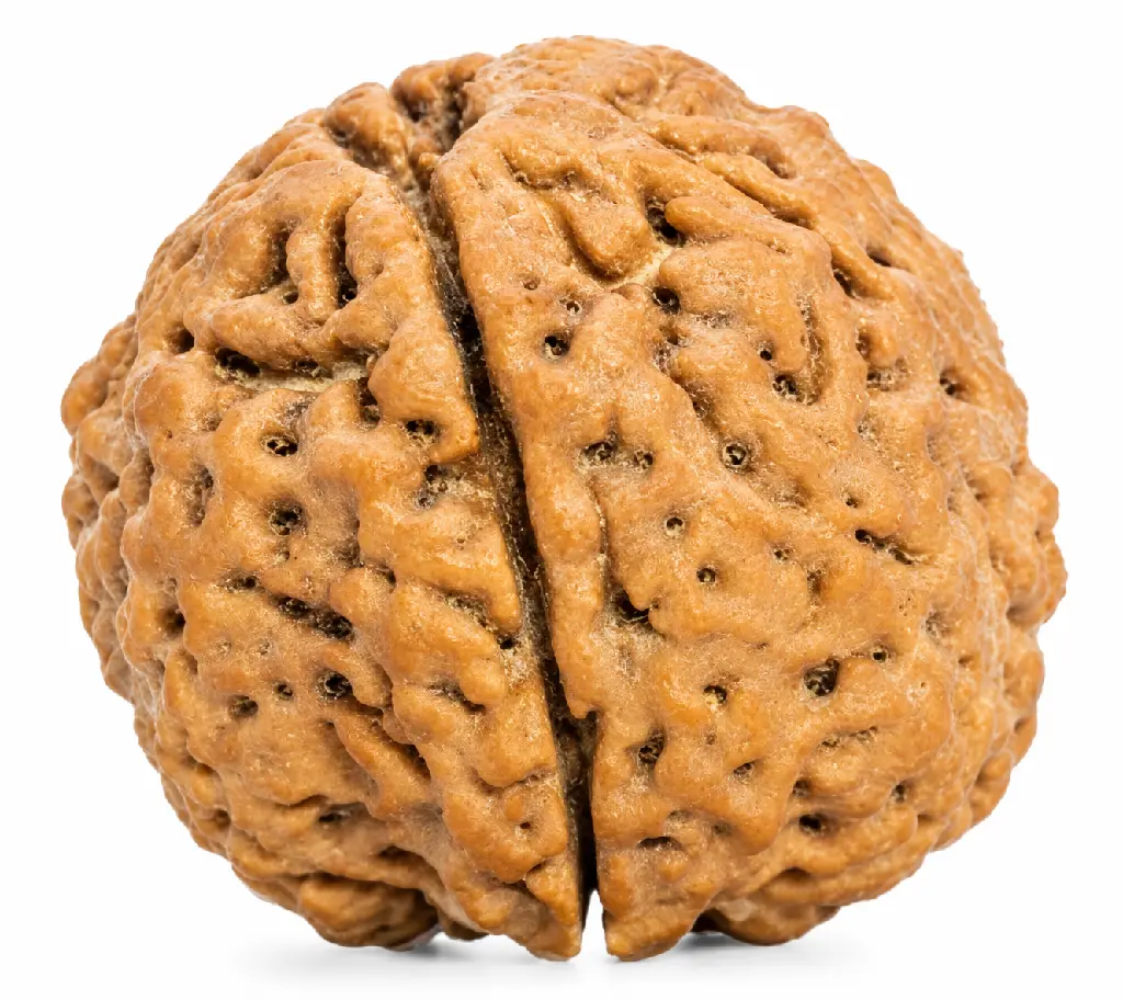2.webp