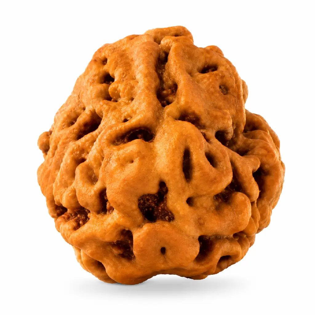 33.webp